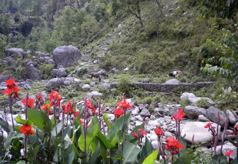 Stone stairway in Marsayangdi Khola Valley on Annapurna Circuit