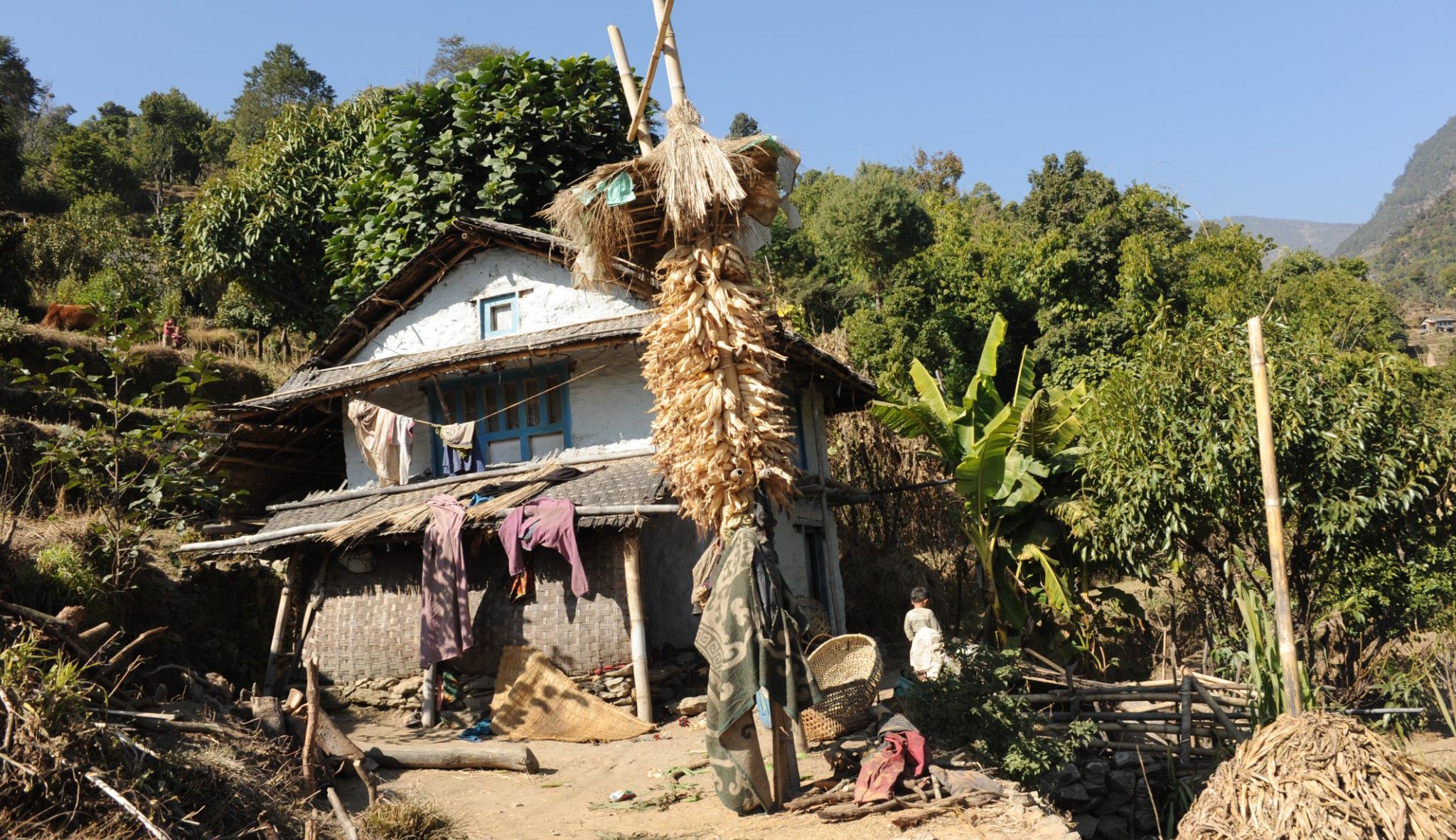 Farm in Bung