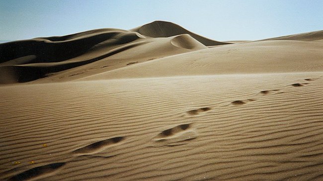 Footsteps in the sand on the Great Sand Dunes Colorado National Monument