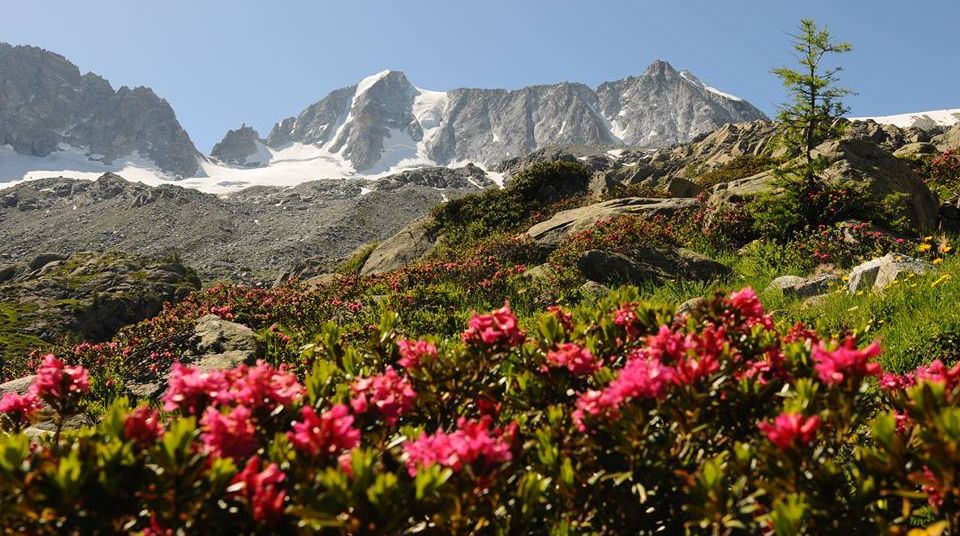 Italian Dolomites