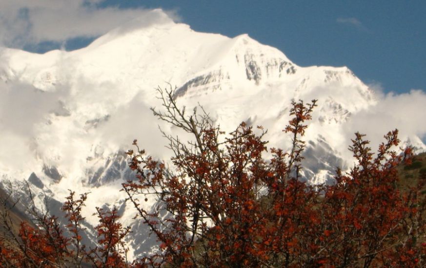 Trisuli in the Indian Himalaya