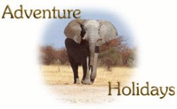 http://www.adventureholidays.co.ke