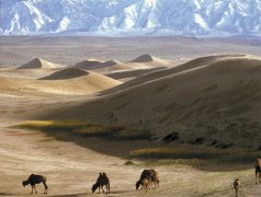 http://www.discovermongolia.mn