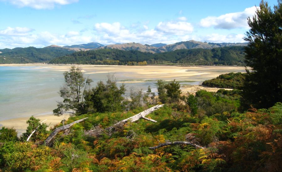 Abel Tasman National Park in the South Island of New Zealand