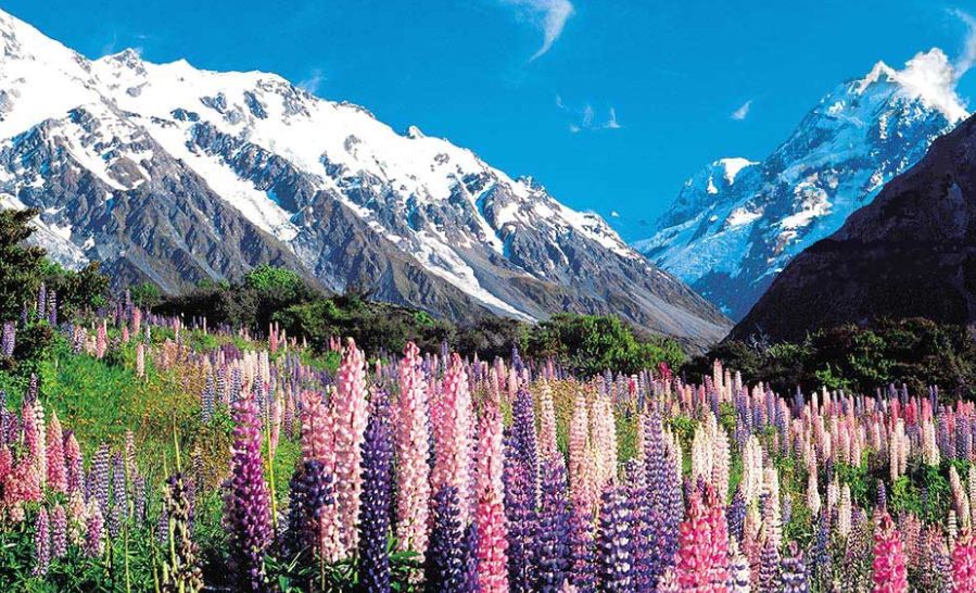 Mount Cook