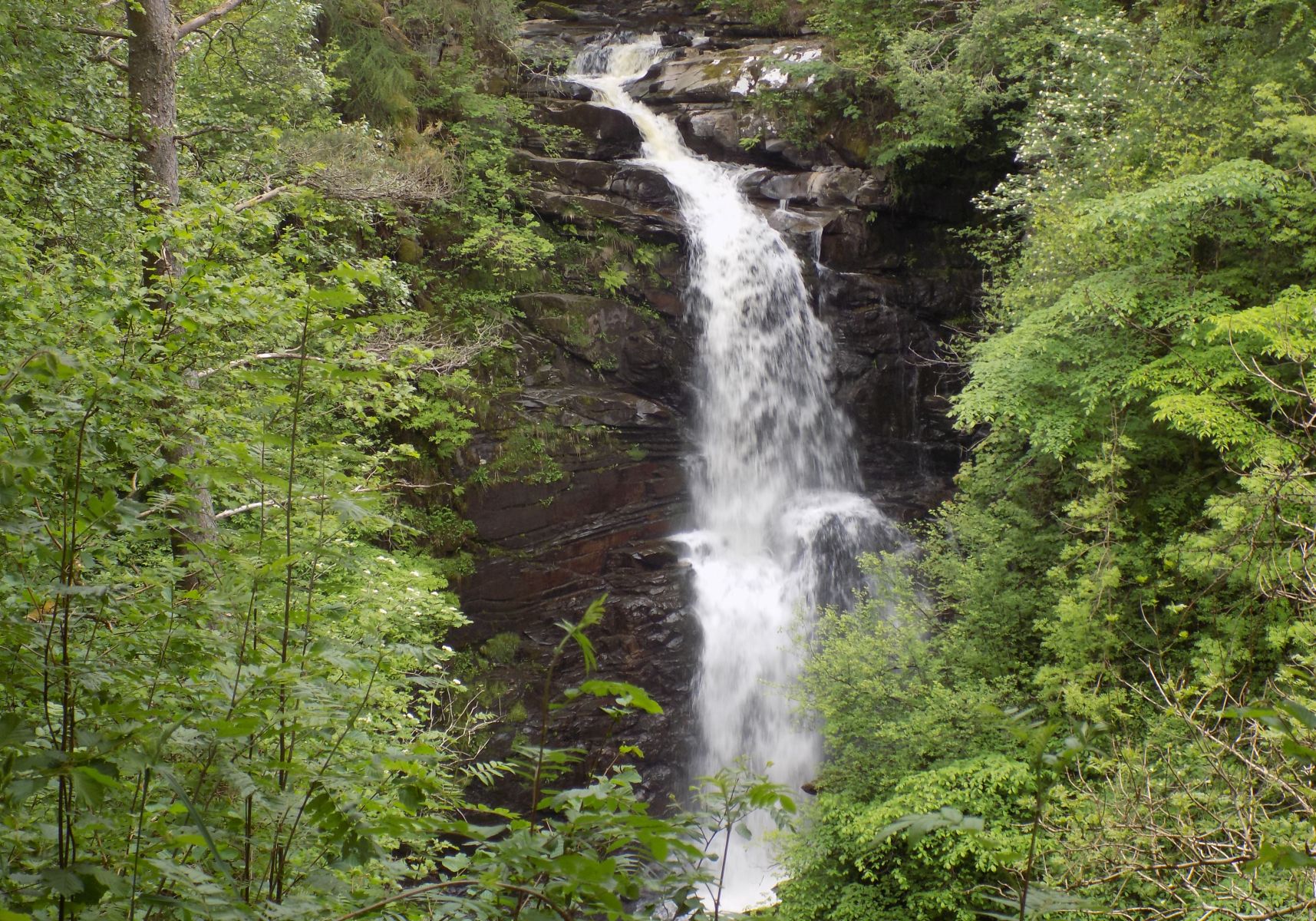 The Falls of Moness in the Birks of Aberfeldy