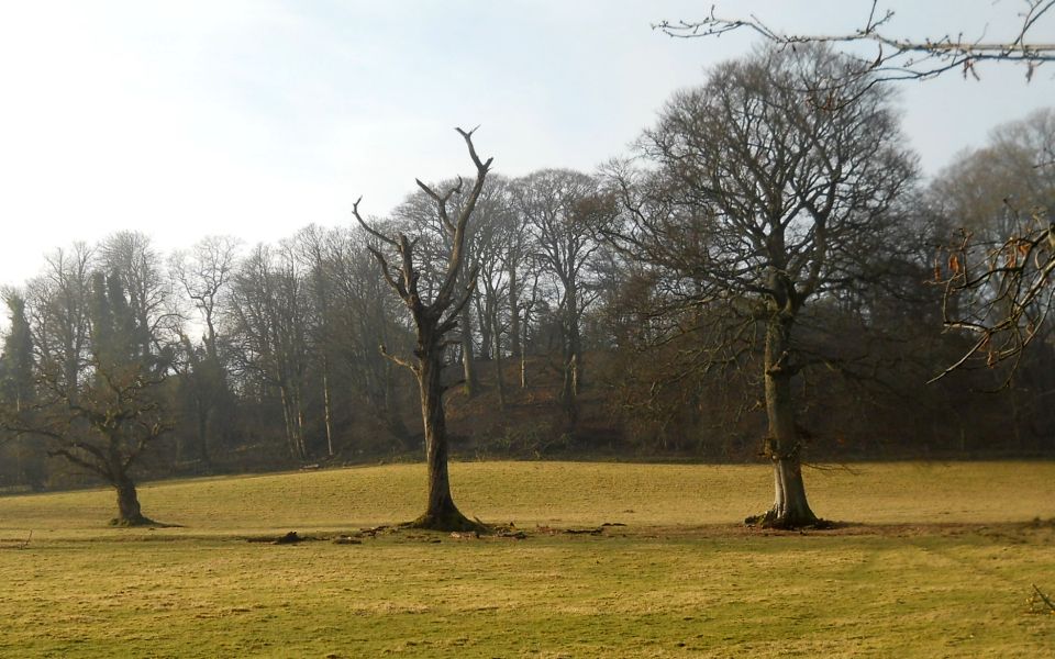 Woodlands on Ardmore Peninsula