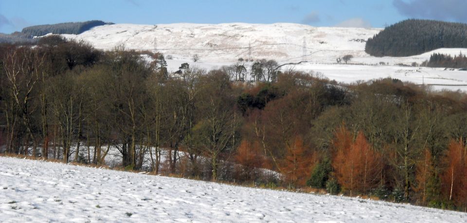 Kilpatrick Hills from trig point on South Mains Farm