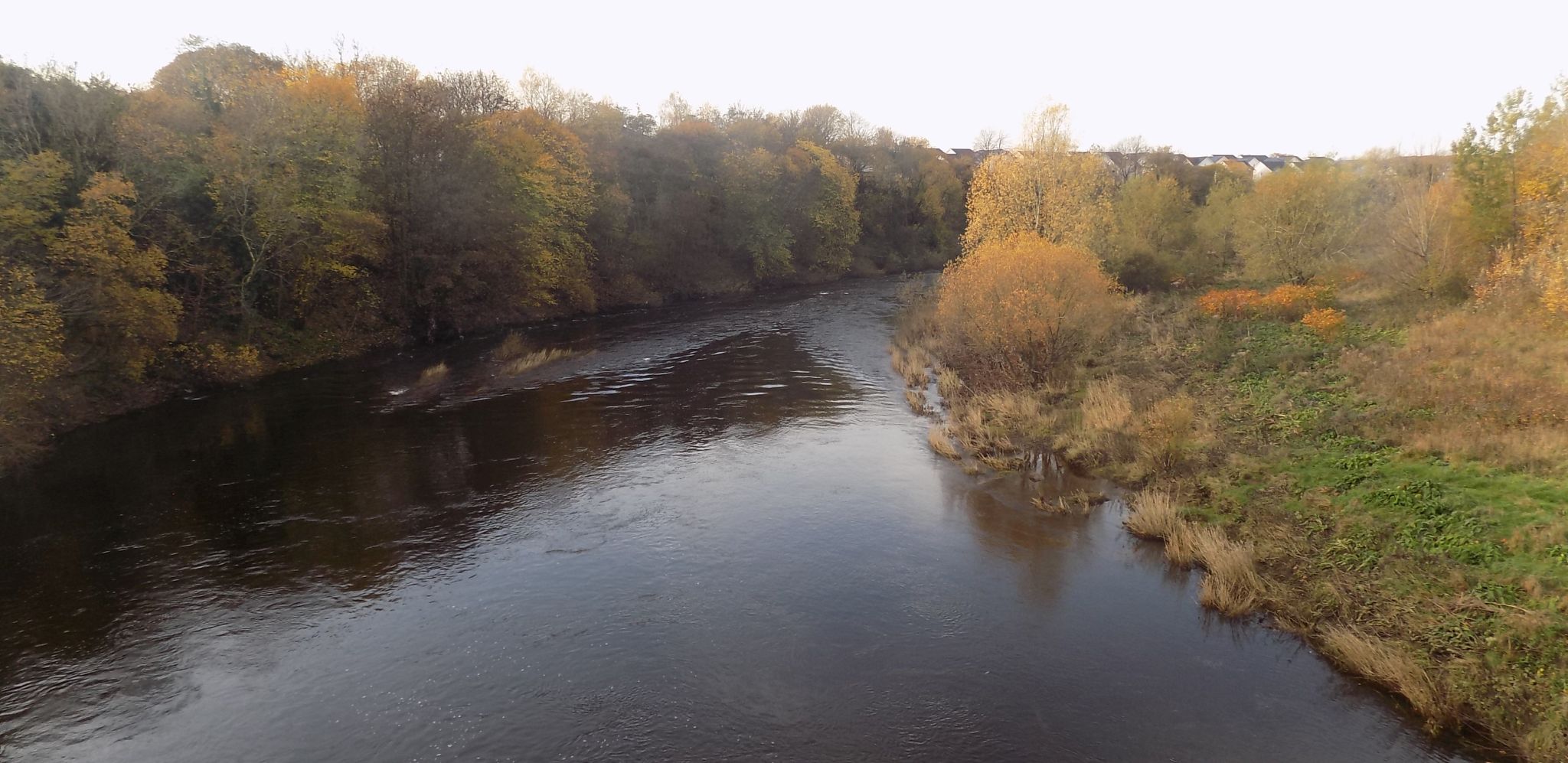 River Clyde from Orion Bridge