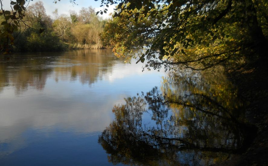 River Clyde from the walkway through Bothwell Woods