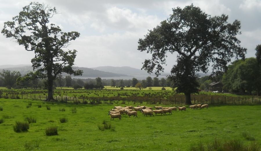 Loch Lomond on the approach to Creity Hall Farm