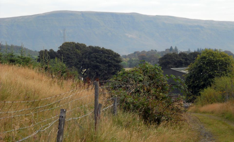 Campsie Fells from Auchineden Farm