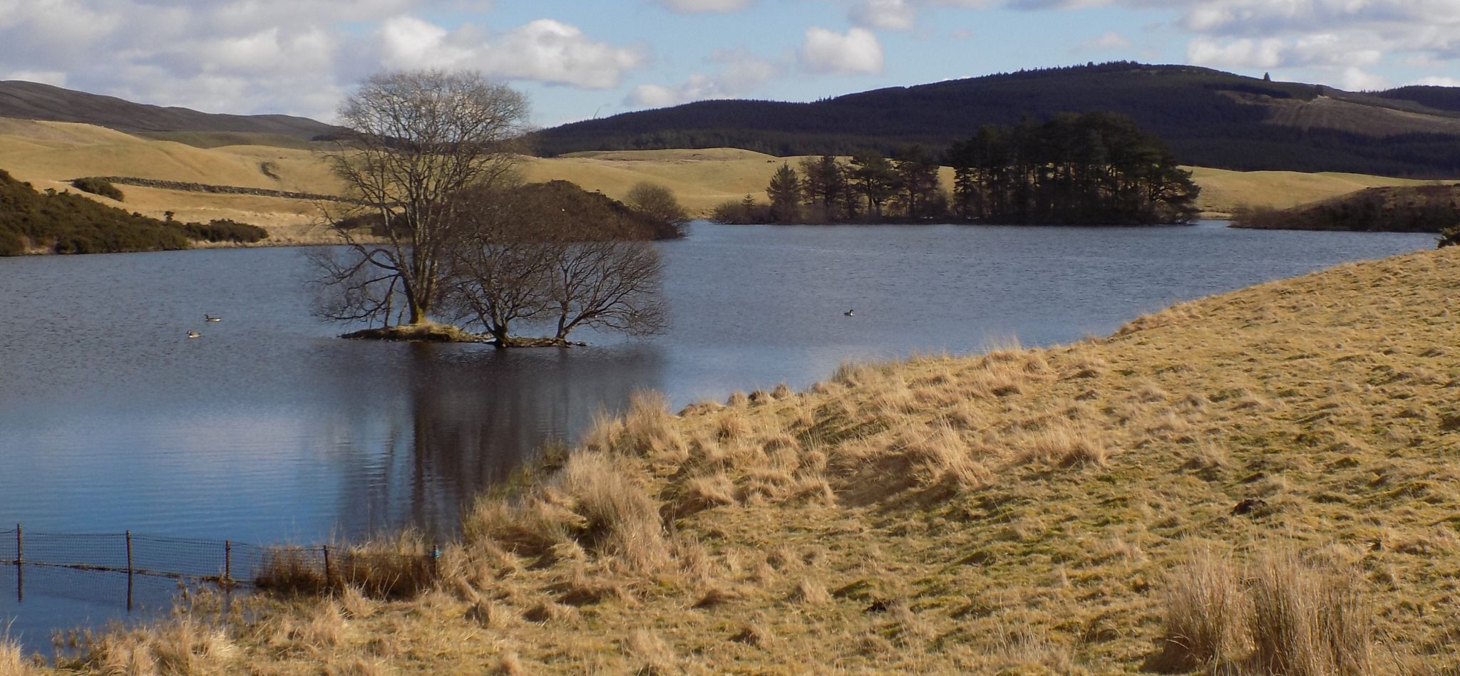 Cairnoch Hill from Loch Walton