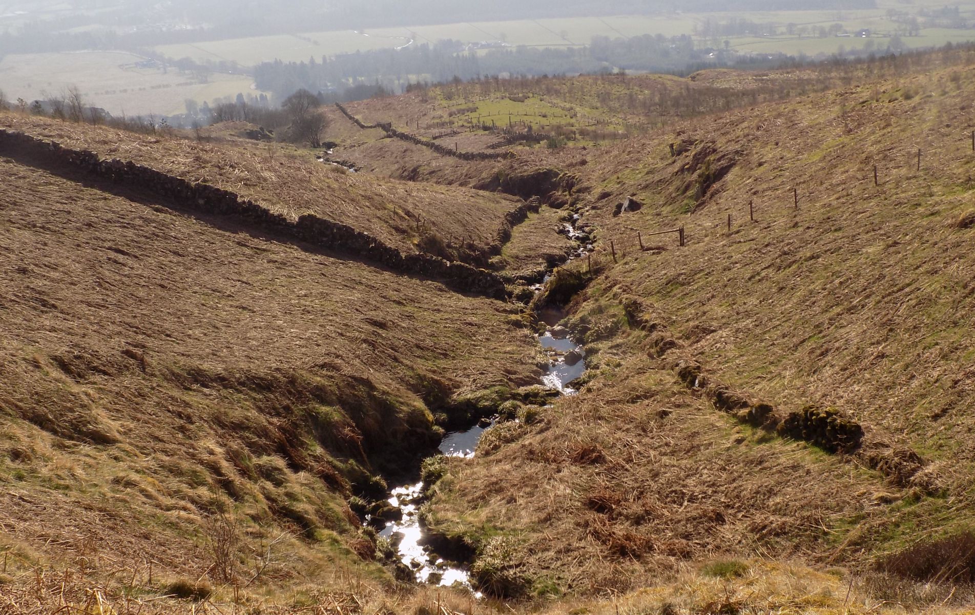 Stream above Allanhead