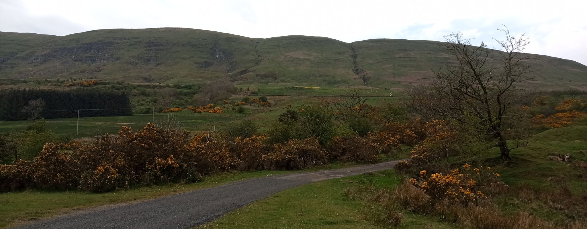 Campsie Fells from Balmore Farm Road