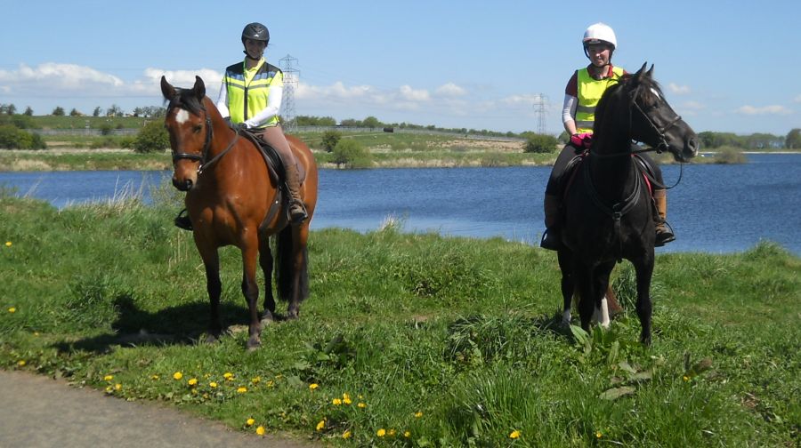 Dams to Darnley Country Park