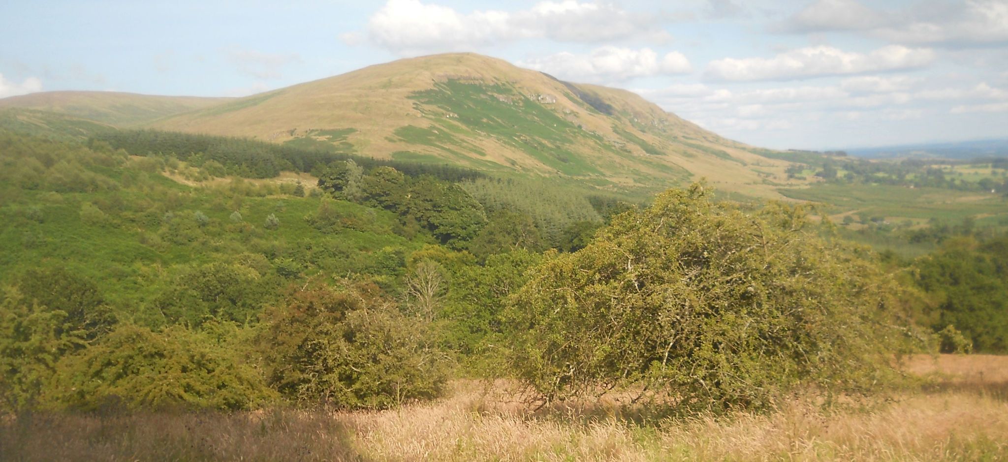 Cort-ma Law on Campsie Fells above Crow Road