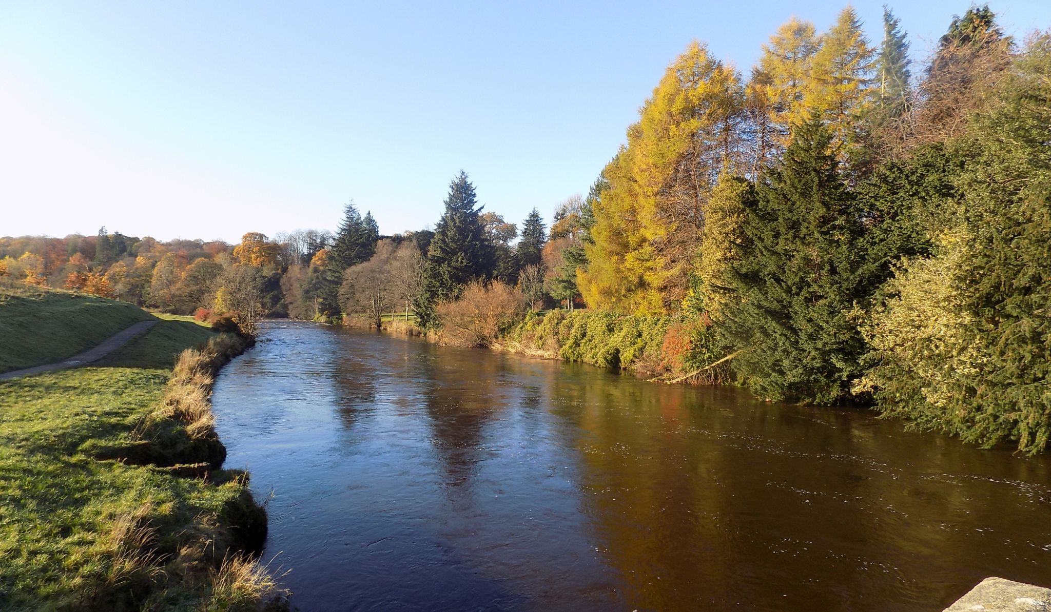 Kelvin River in Garscube Estate