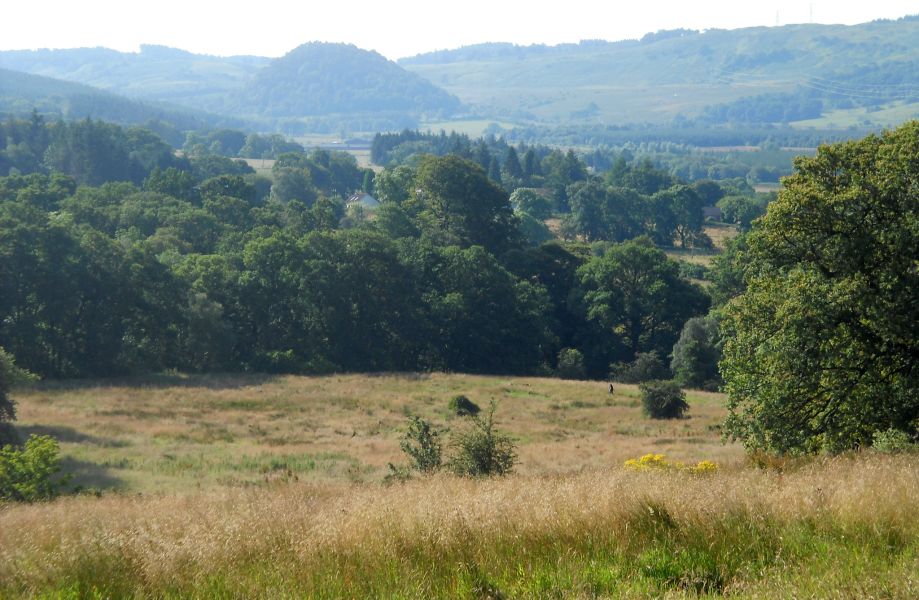 Dumgoyne in the Campsie Fells above Killearn Glen