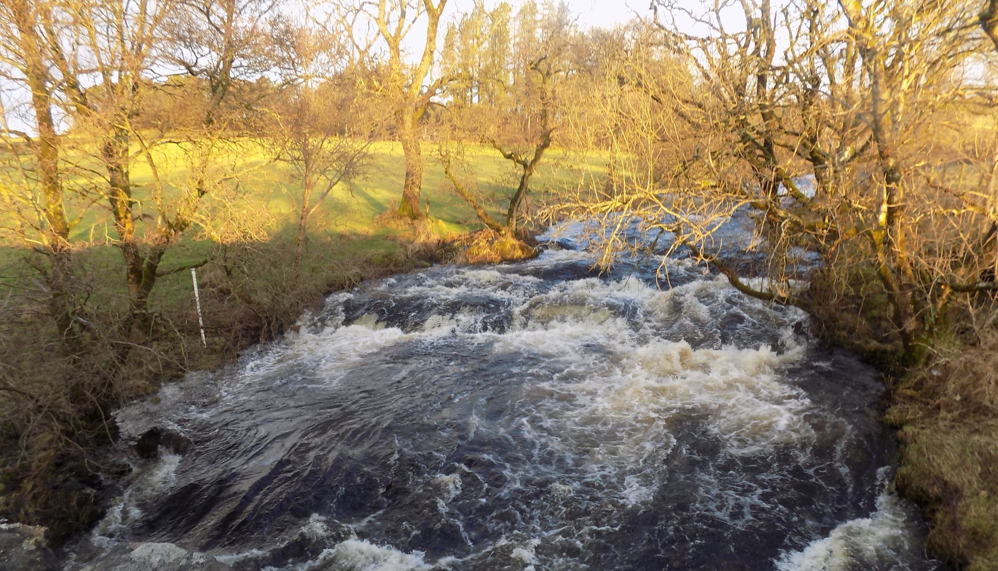 Weir on River Gryffe