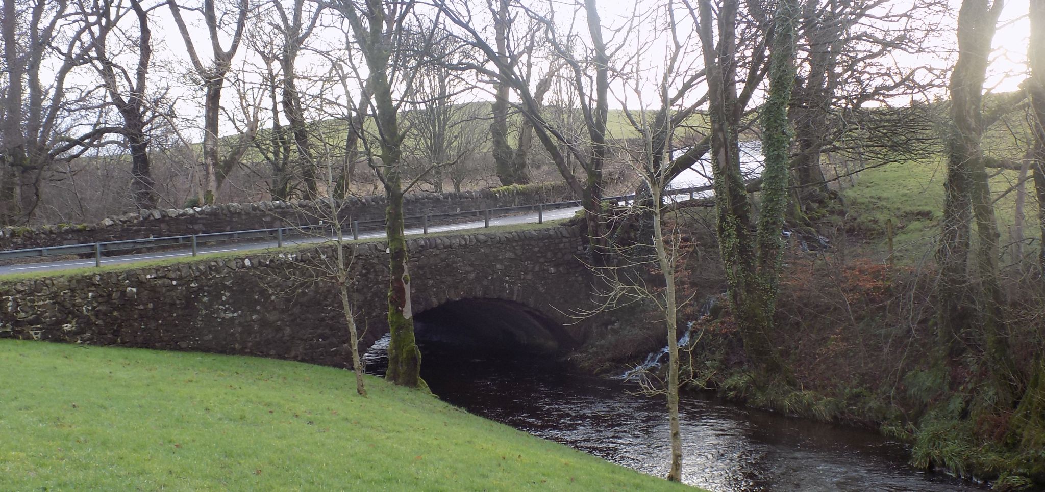 Stepend Bridge over the Green Water