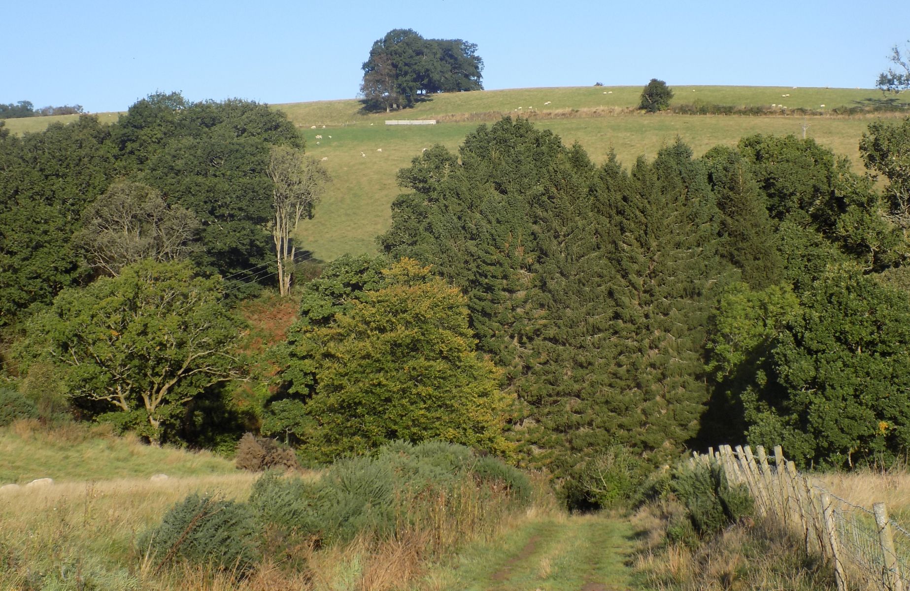 Public path via the Dasher Bridge to Kippen