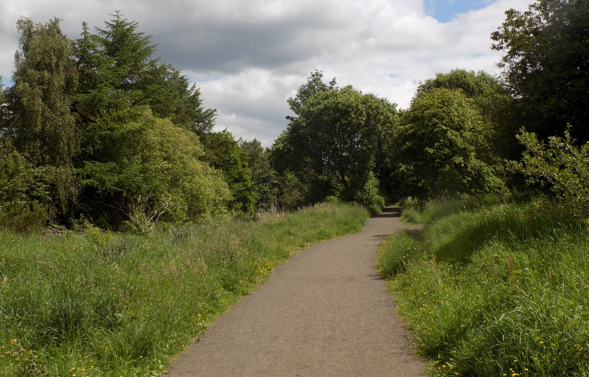 Merkland Nature Park in Kirkintilloch