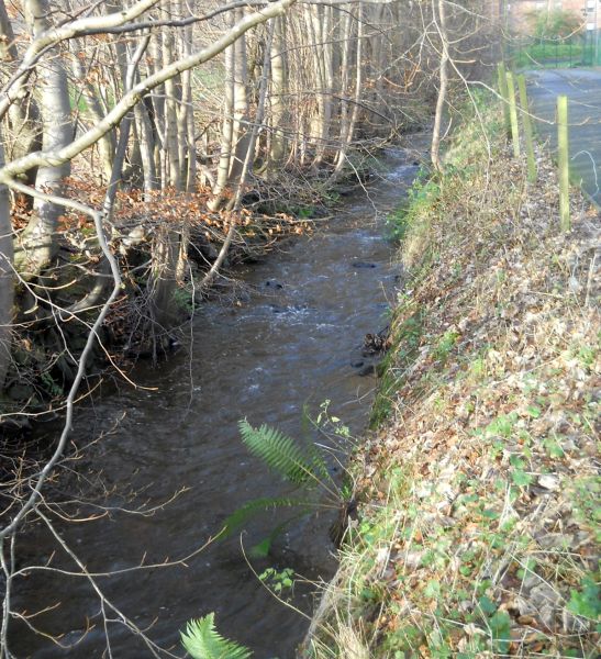 Manse Burn at Courthill in Bearsden