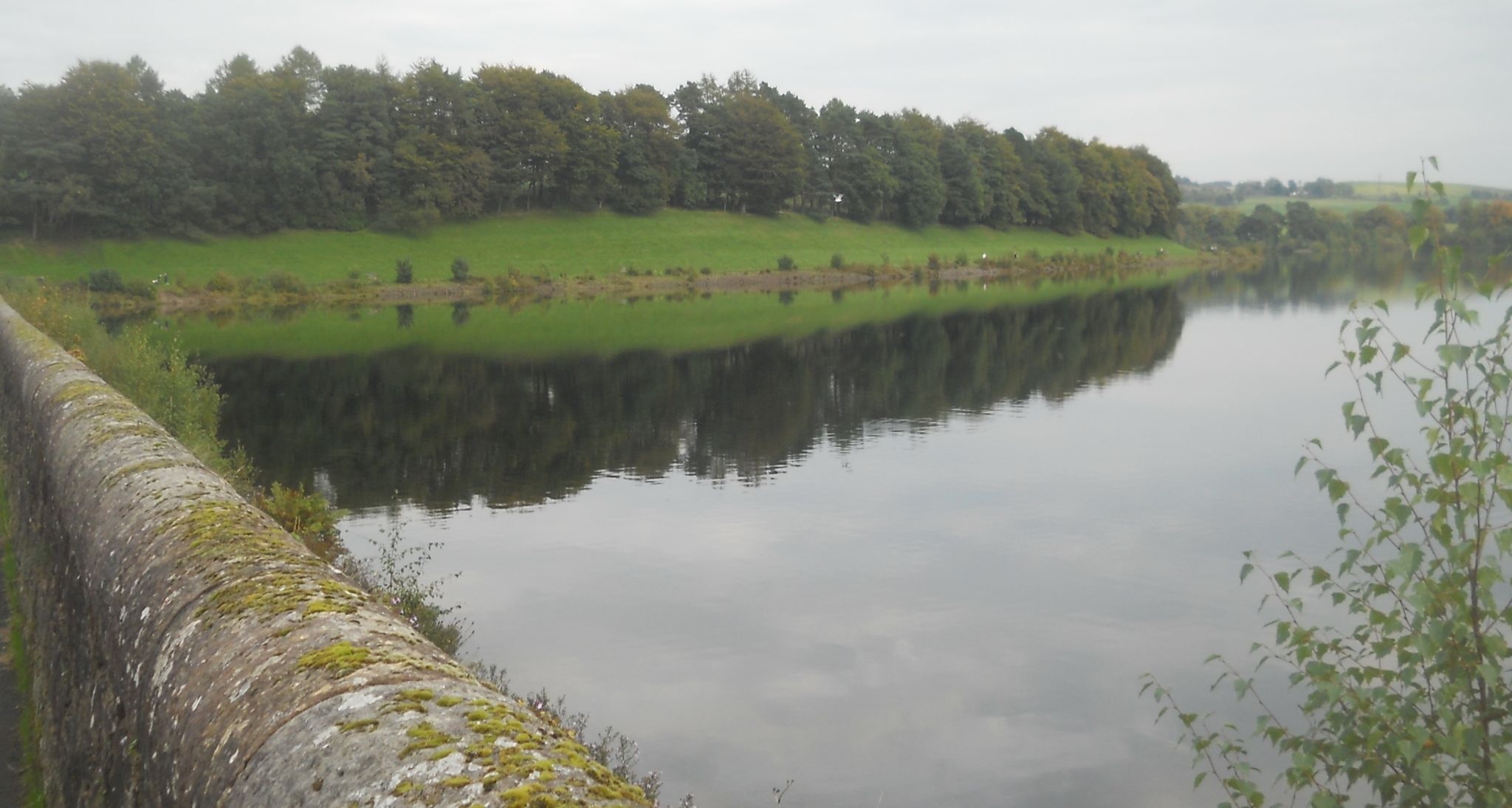 Trees around Craigmaddie Reservoir