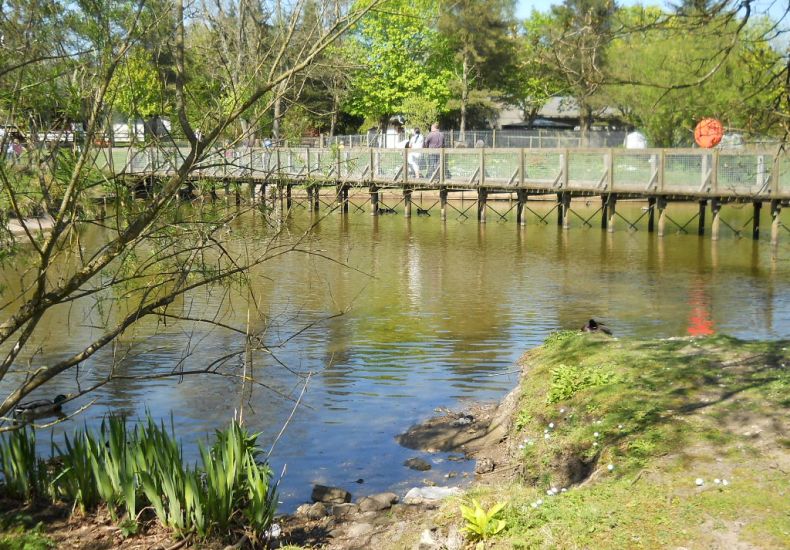 Bridge across Pond at Visitor Centre in Palacerigg Country Park