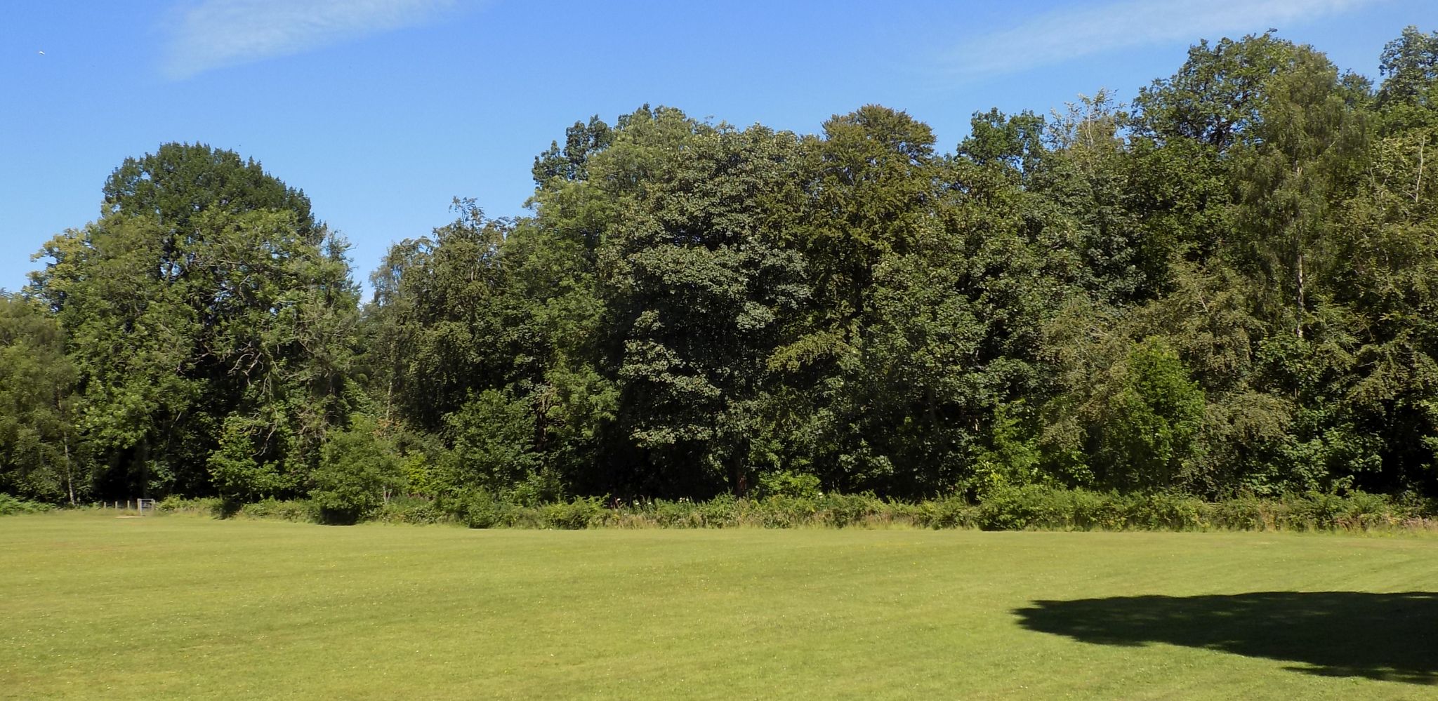 Meadow and Woodlands in Plean Park