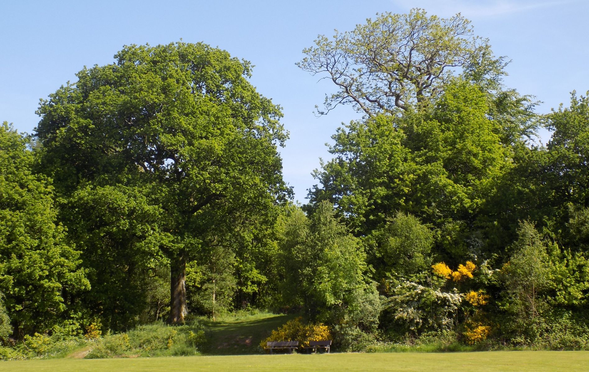 Sow Park in Gartmore