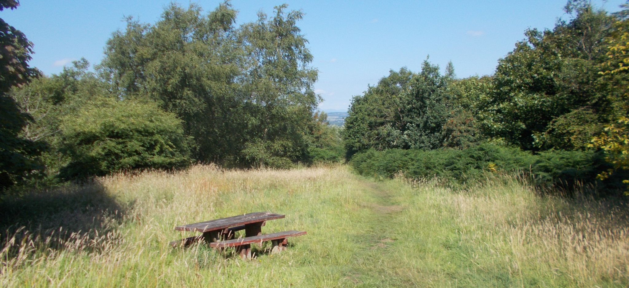 Trail in Robertson Park area