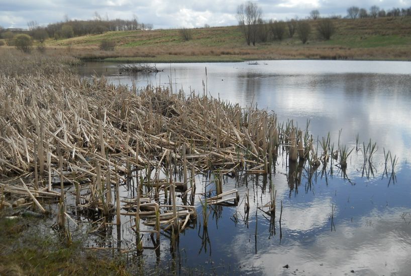 Millerston Church at Hogganfield Loch