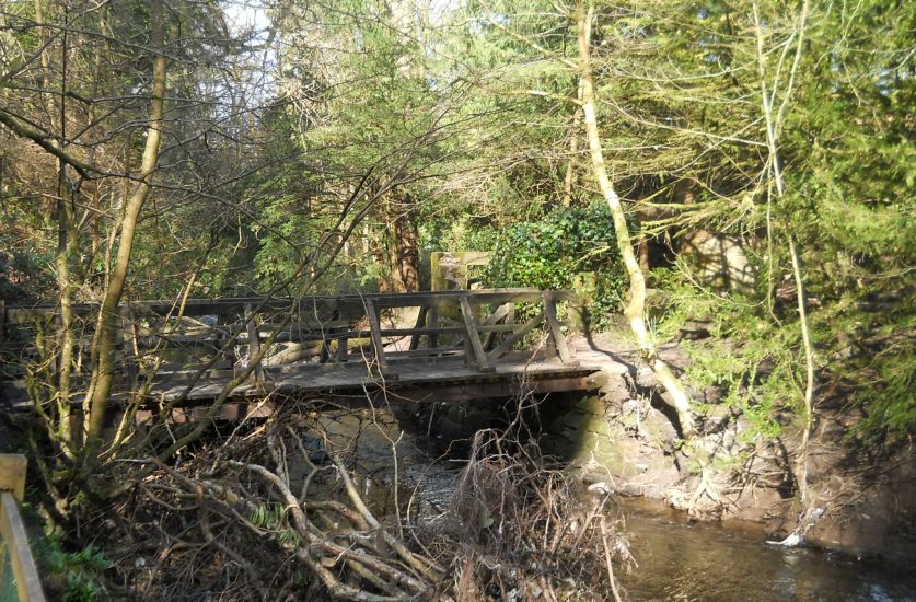 Woodland Walk beside stream in Rouken Glen Park