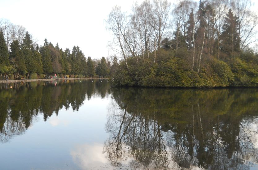 Boating Pond in Rouken Glen Park