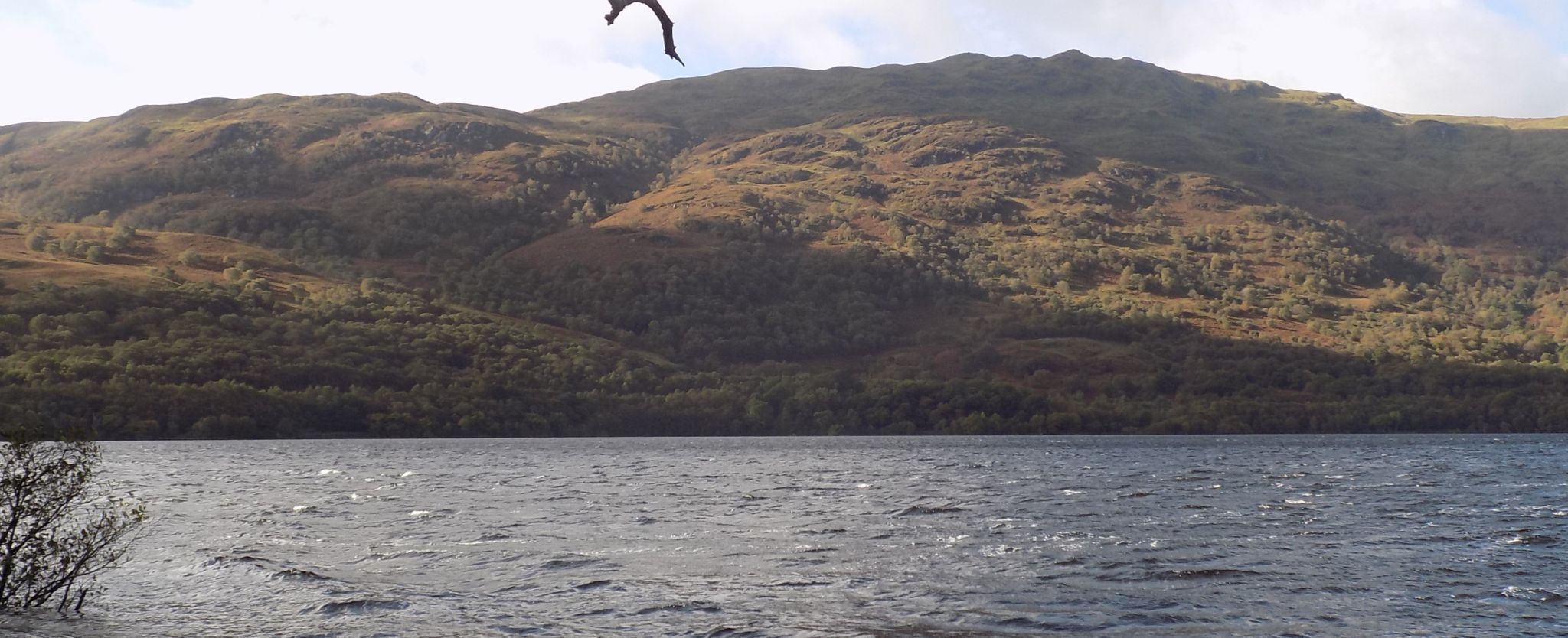 Luss Hills across Loch Lomond from the West Highland Way