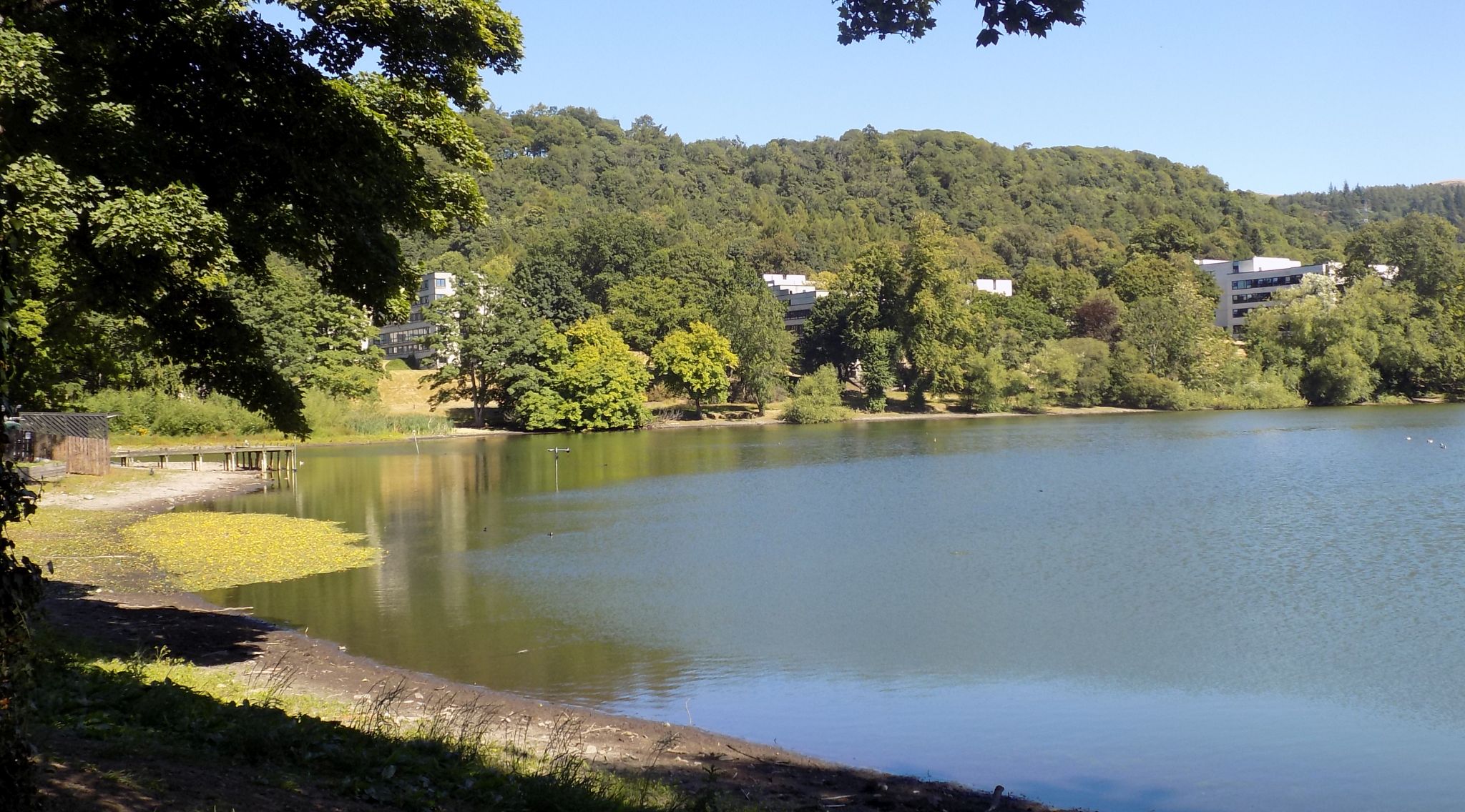 Lake in campus of Stirling University