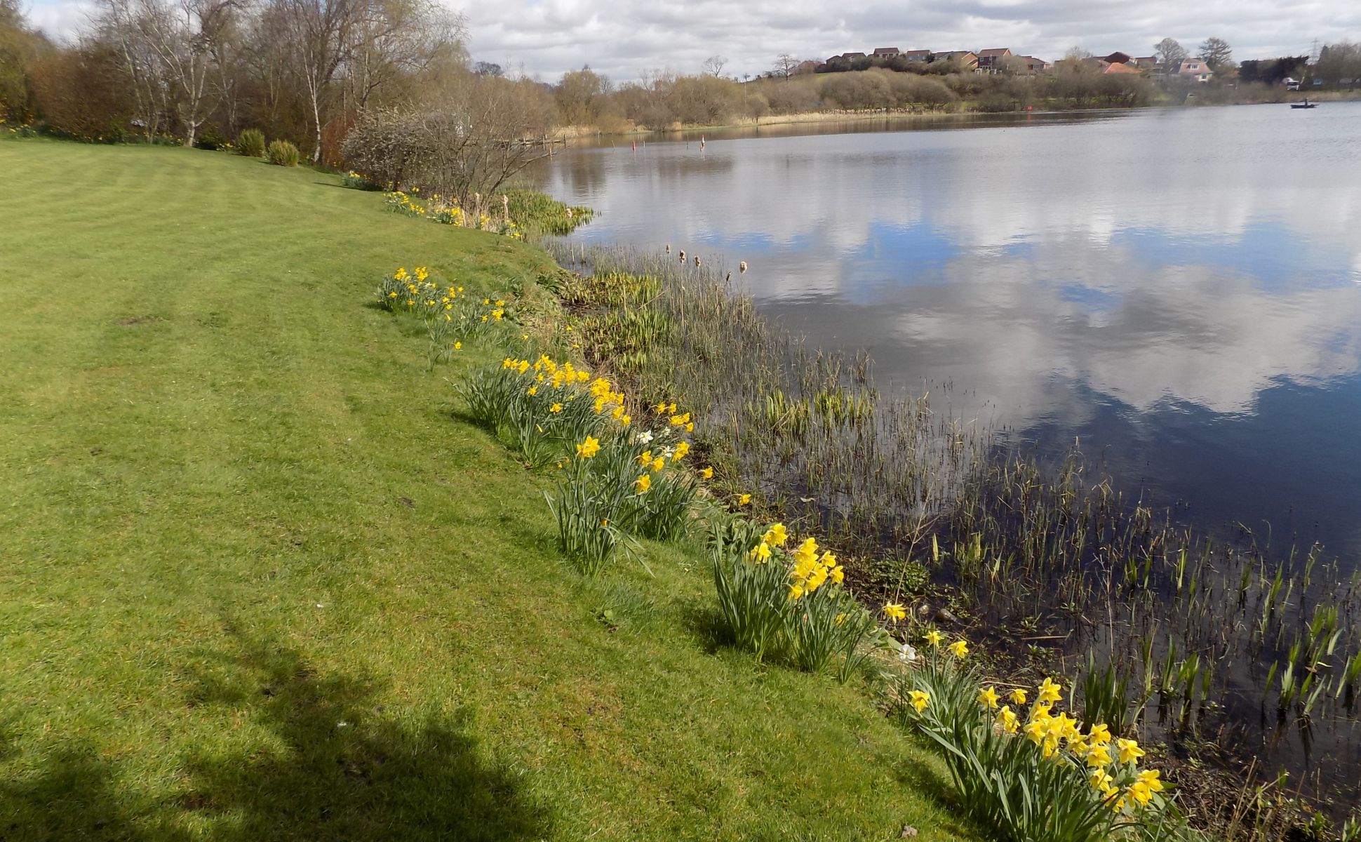 Johnston Loch at Gartcosh