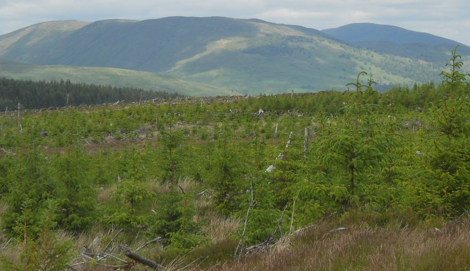 Luss Hills from Stoneymollan Road