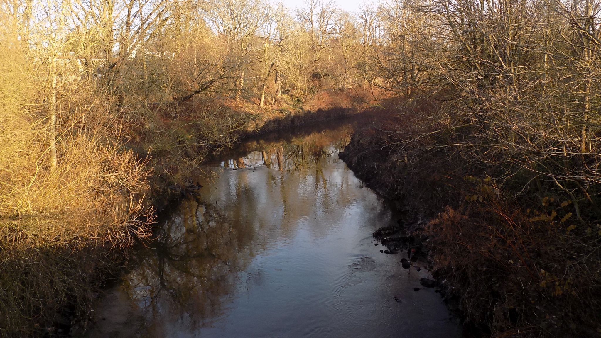 Kelvin River at Torrance