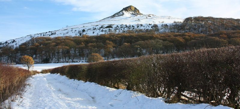 Roseberry Topping