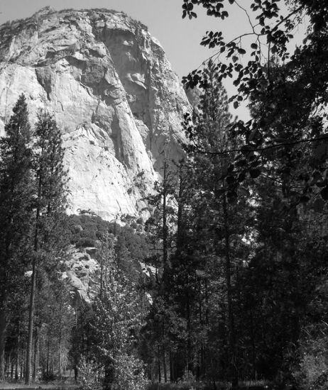 El Capitan in Yosemite Valley